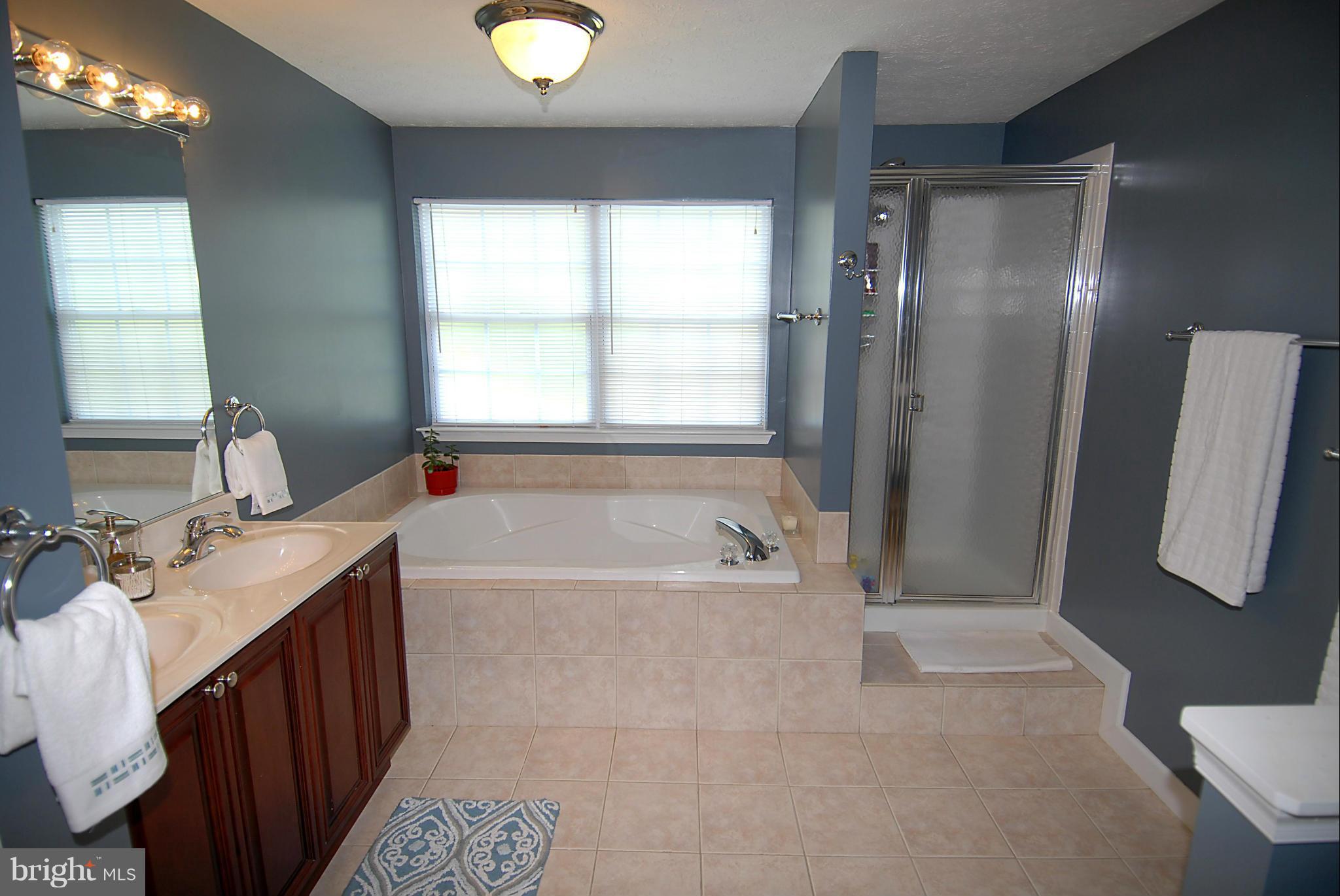 1200 Breckenridge Court Riva, MD 21140 - Photo 14 of 28 a spacious bathroom with a tub sink and mirror