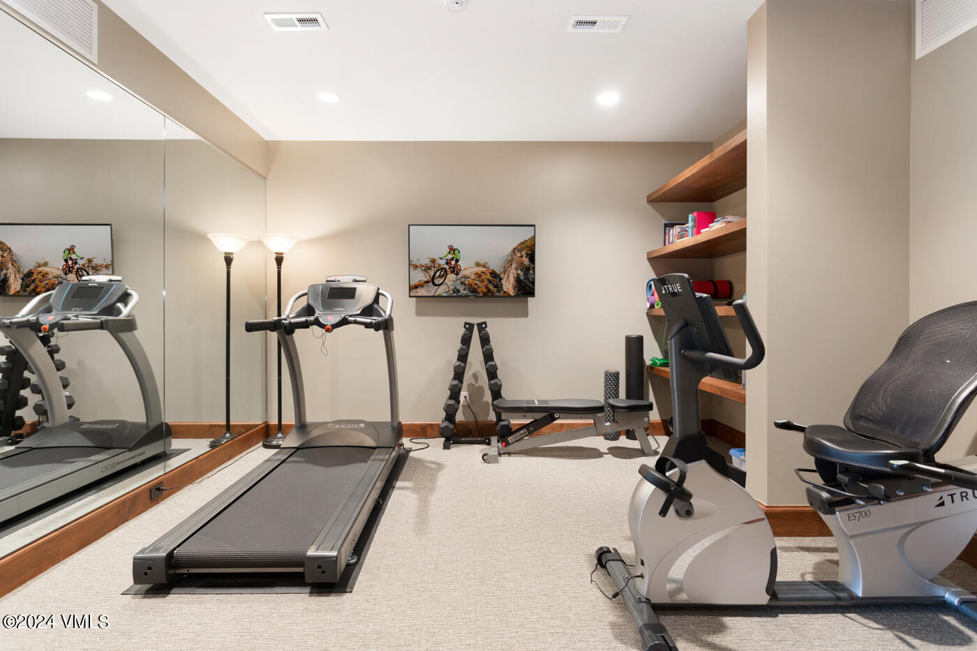 458 Harrier Circle Eagle, CO 81631 - Photo 47 of 61 458 Harrier Cir-46