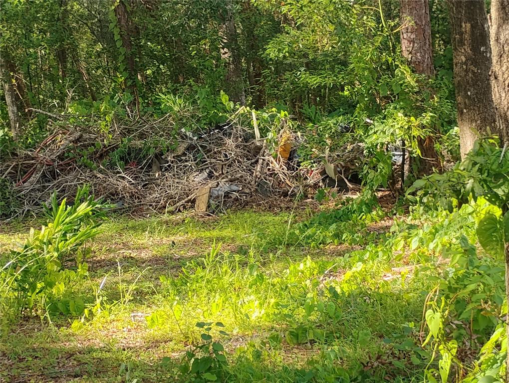 Jasmine Road Altoona, FL 32702 - Photo 1 of 1 Gallery Image 1