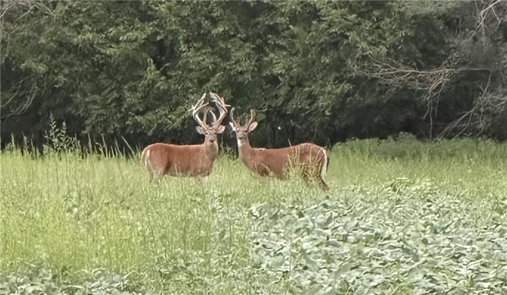 1982 Indiana Road Ottawa, KS 66067 - Photo 27 of 70