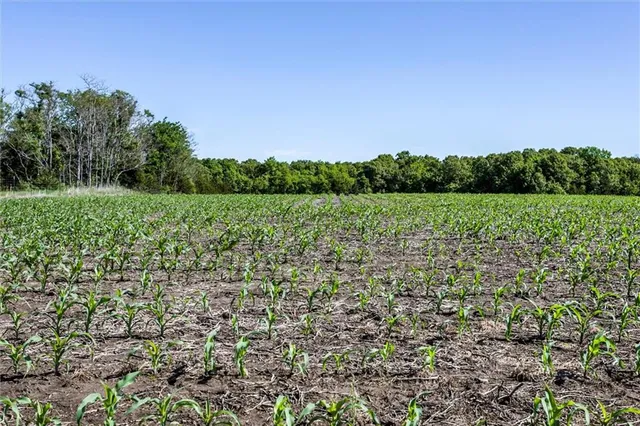 $1,150,000 | 1982 Indiana Road, Ottawa, KS 66067