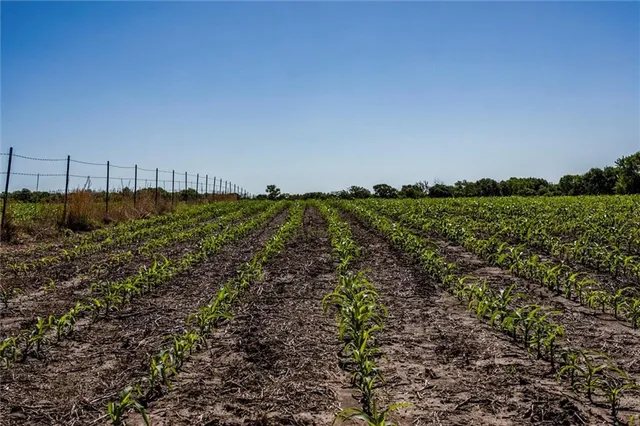 $1,150,000 | 1982 Indiana Road, Ottawa, KS 66067