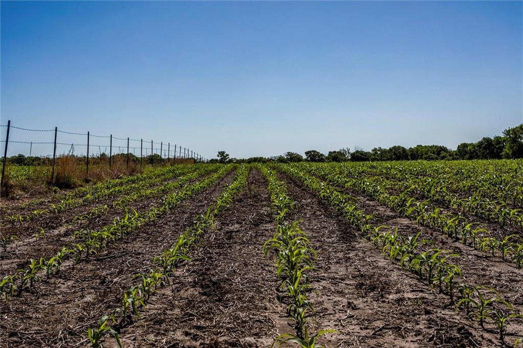 1982 Indiana Road Ottawa, KS 66067 - Photo 32 of 70