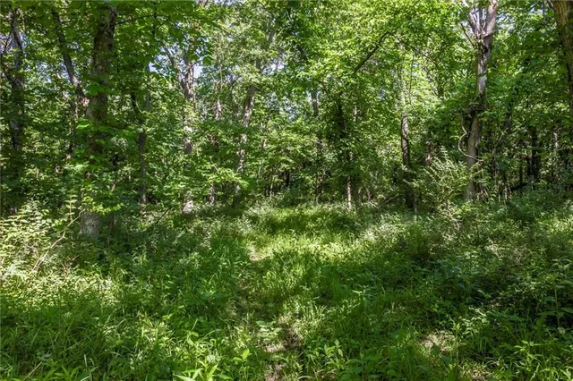 $1,150,000 | 1982 Indiana Road, Ottawa, KS 66067