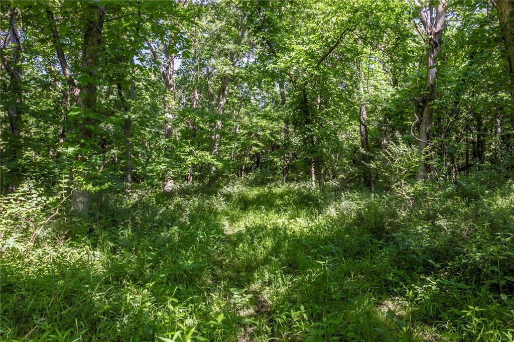 1982 Indiana Road Ottawa, KS 66067 - Photo 33 of 70