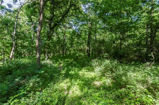 $1,150,000 | 1982 Indiana Road, Ottawa, KS 66067