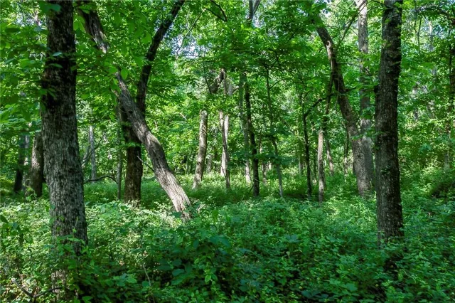 $1,150,000 | 1982 Indiana Road, Ottawa, KS 66067