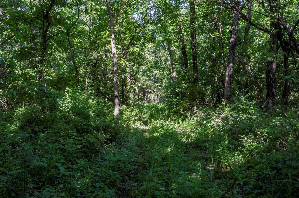 1982 Indiana Road Ottawa, KS 66067 - Photo 36 of 70