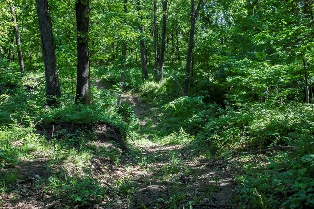 $1,150,000 | 1982 Indiana Road, Ottawa, KS 66067