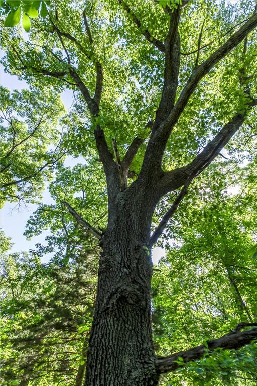 1982 Indiana Road Ottawa, KS 66067 - Photo 38 of 70