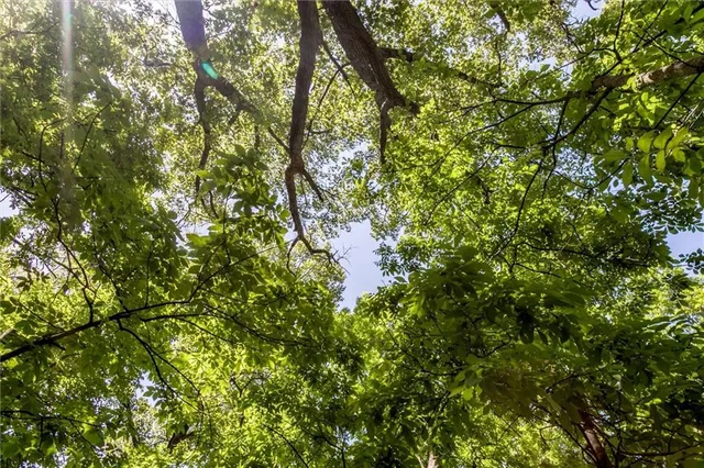 $1,150,000 | 1982 Indiana Road, Ottawa, KS 66067