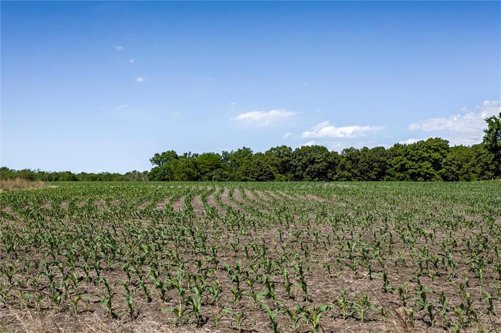 1982 Indiana Road Ottawa, KS 66067 - Photo 43 of 70