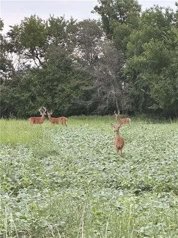 $1,150,000 | 1982 Indiana Road, Ottawa, KS 66067