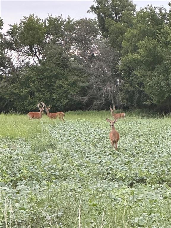 1982 Indiana Road Ottawa, KS 66067 - Photo 70 of 70
