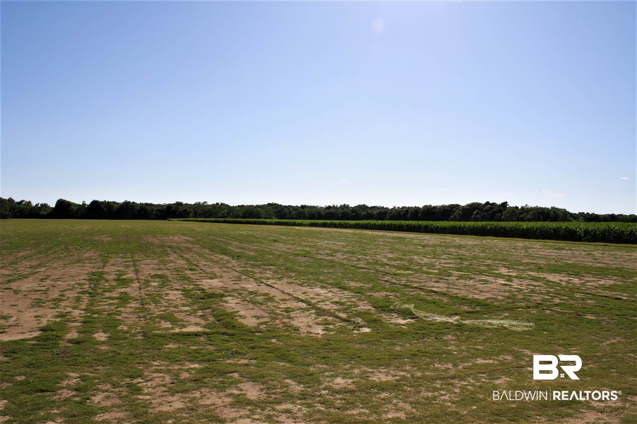 0 Vernant Park Road Foley, AL 36535 - Photo 15 of 20