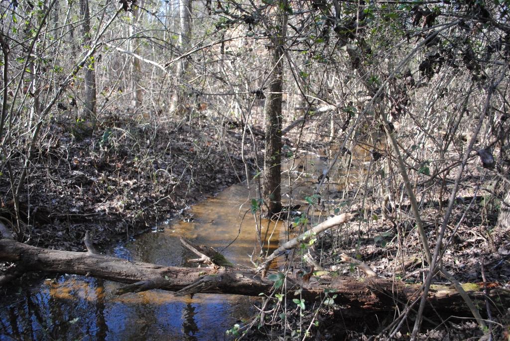 15 Gordon Pond Road LaFayette, GA 30728 - Photo 15 of 29 DSC_0379 (1024x685)