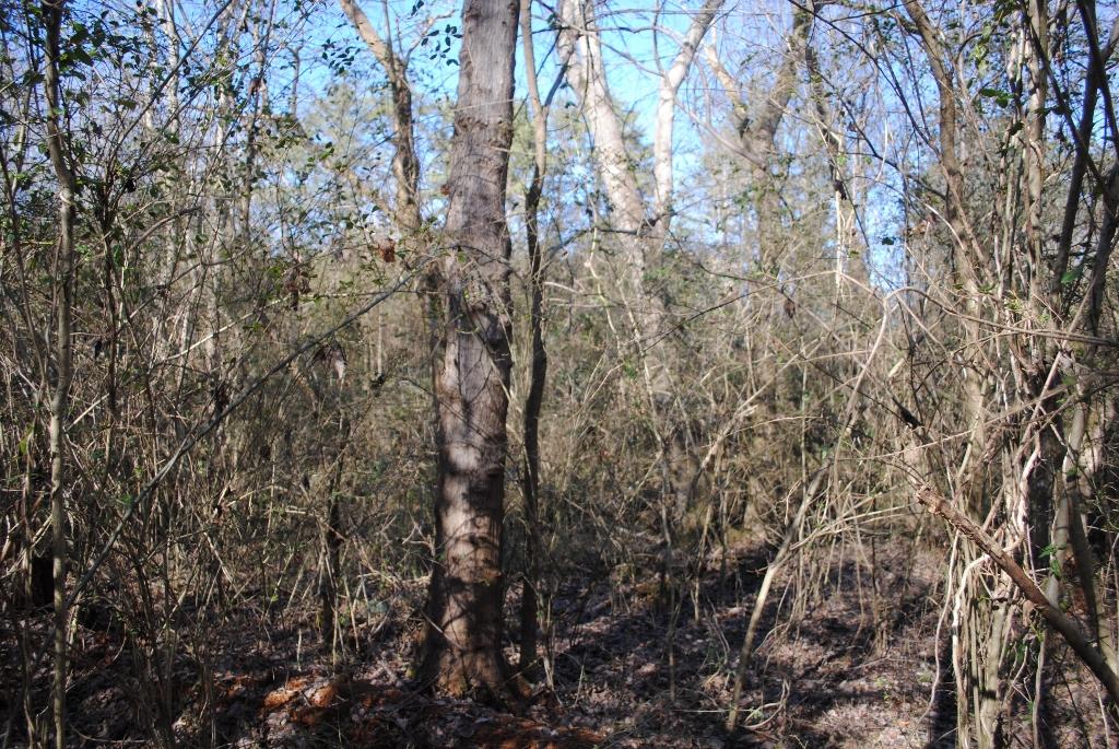 15 Gordon Pond Road LaFayette, GA 30728 - Photo 16 of 29 DSC_0380 (1024x685)