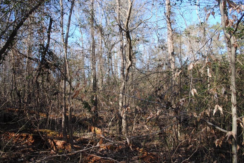 15 Gordon Pond Road LaFayette, GA 30728 - Photo 21 of 29 DSC_0385 (1024x685)