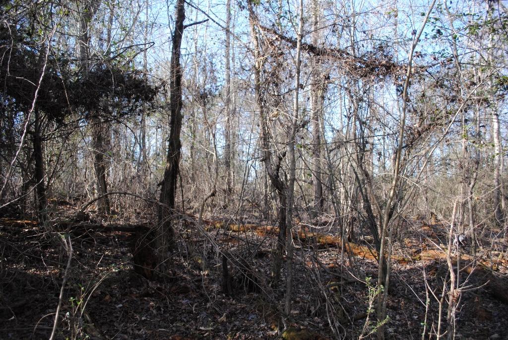 15 Gordon Pond Road LaFayette, GA 30728 - Photo 22 of 29 DSC_0386 (1024x685)