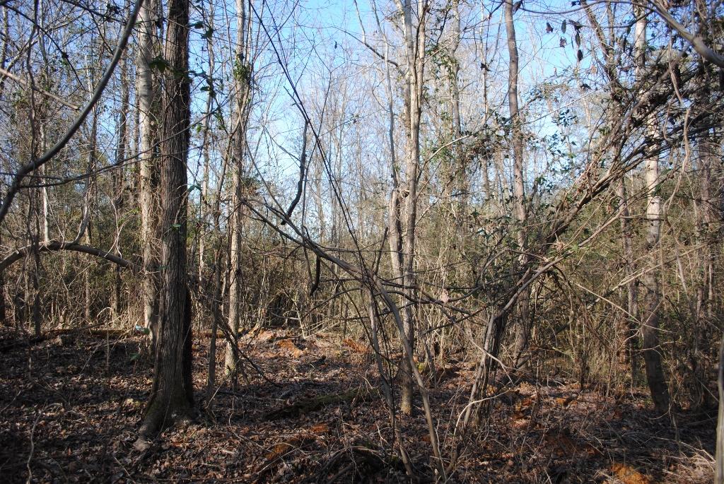 15 Gordon Pond Road LaFayette, GA 30728 - Photo 23 of 29 DSC_0387 (1024x685)