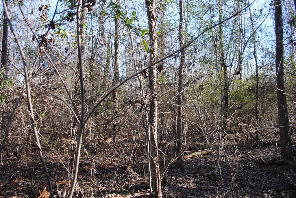 15 Gordon Pond Road LaFayette, GA 30728 - Photo 25 of 29 DSC_0389 (1024x685)