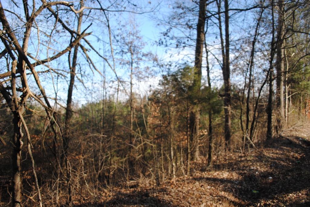 15 Gordon Pond Road LaFayette, GA 30728 - Photo 27 of 29 DSC_0391 (1024x685)