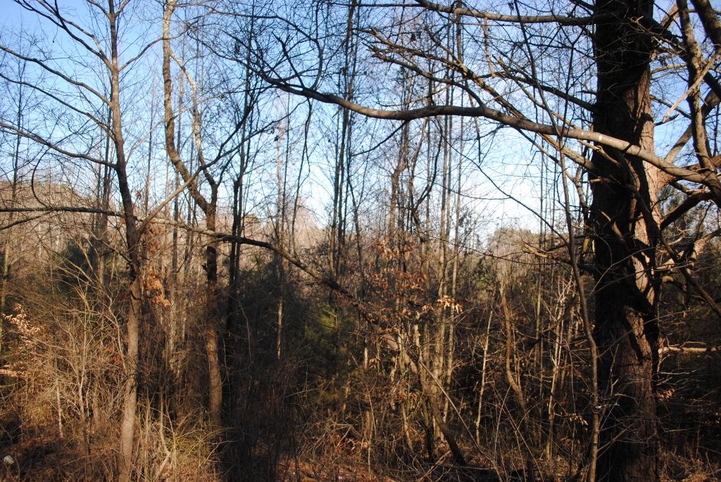 15 Gordon Pond Road LaFayette, GA 30728 - Photo 28 of 29 DSC_0392 (1024x685)