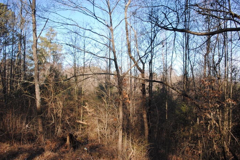 15 Gordon Pond Road LaFayette, GA 30728 - Photo 29 of 29 DSC_0393 (1024x685)