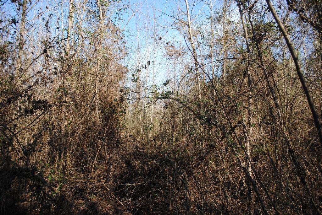 15 Gordon Pond Road LaFayette, GA 30728 - Photo 6 of 29 DSC_0369 (1024x685)