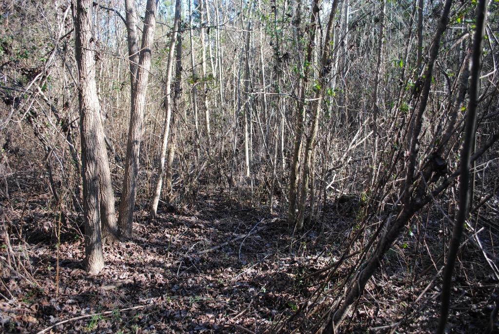 15 Gordon Pond Road LaFayette, GA 30728 - Photo 9 of 29 DSC_0372 (1024x685)