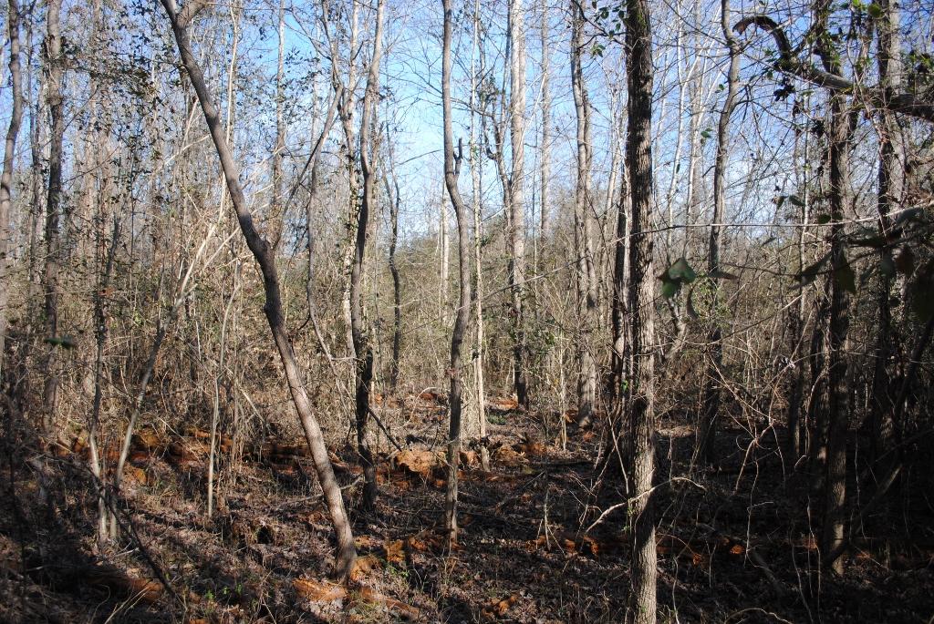 15 Gordon Pond Road LaFayette, GA 30728 - Photo 10 of 29 DSC_0373 (1024x685)