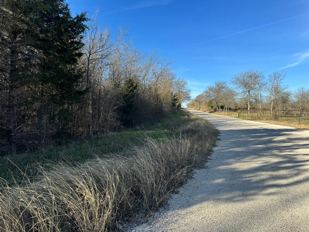 8405 Taylorsville Road Dale, TX 78616 - Photo 13 of 13 Gravel road bordered by natural foliage, mature deciduous trees, and a wooden fence line