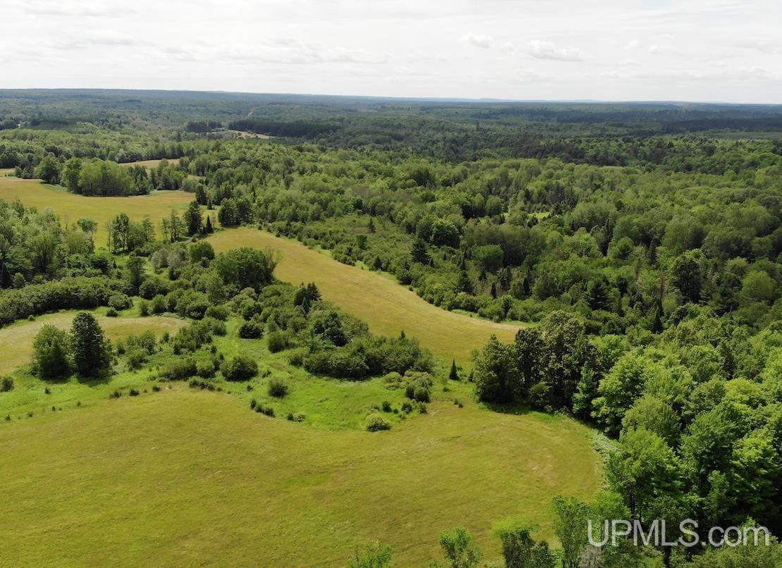 Tbd1 Norback Road Watton, MI 49970 - Photo 5 of 24