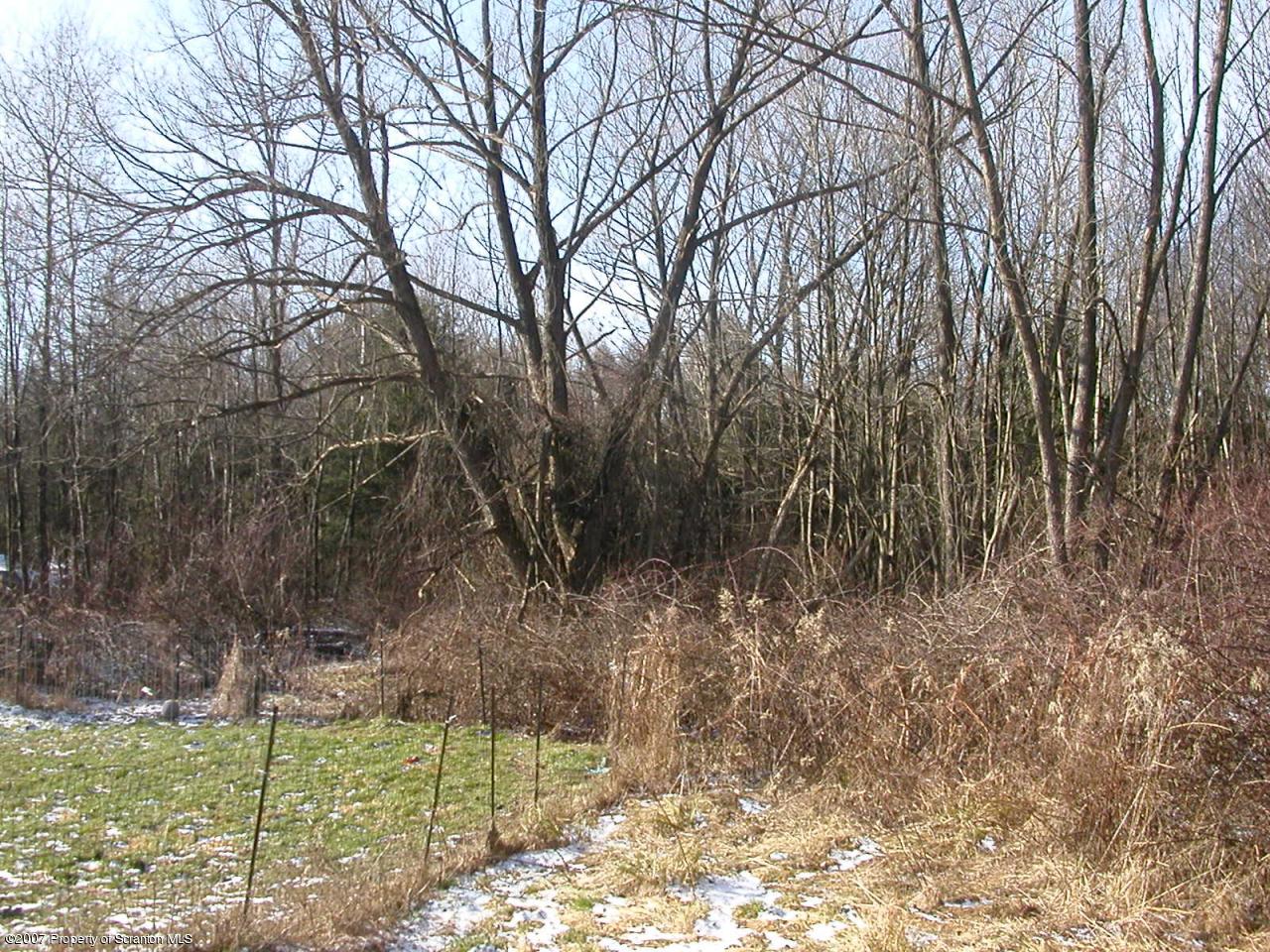 303 Cemetery Road Moscow, PA 18444 - Photo 4 of 5 BACK OF PROPERTY