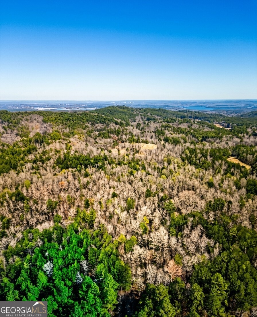 0 Hopeful Road, Unit LOT 2 Munford, AL 36268 - Photo 3 of 12