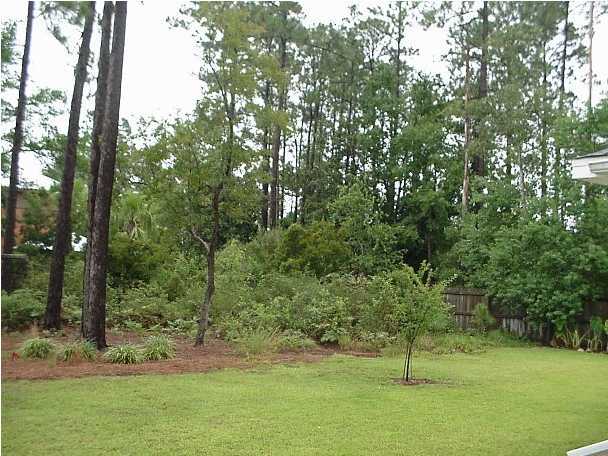4462 Kingslynn Road Niceville, FL 32578 - Photo 3 of 15 a view of a tree in a yard