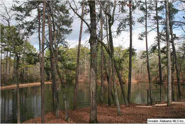 777 Carl Raines Lake Road Birmingham, AL 35244 - Photo 4 of 32