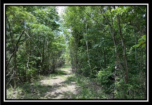 85 Weaver Road, Unit TRACT B) Chillicothe, OH 45601 - Photo 42 of 49 image041