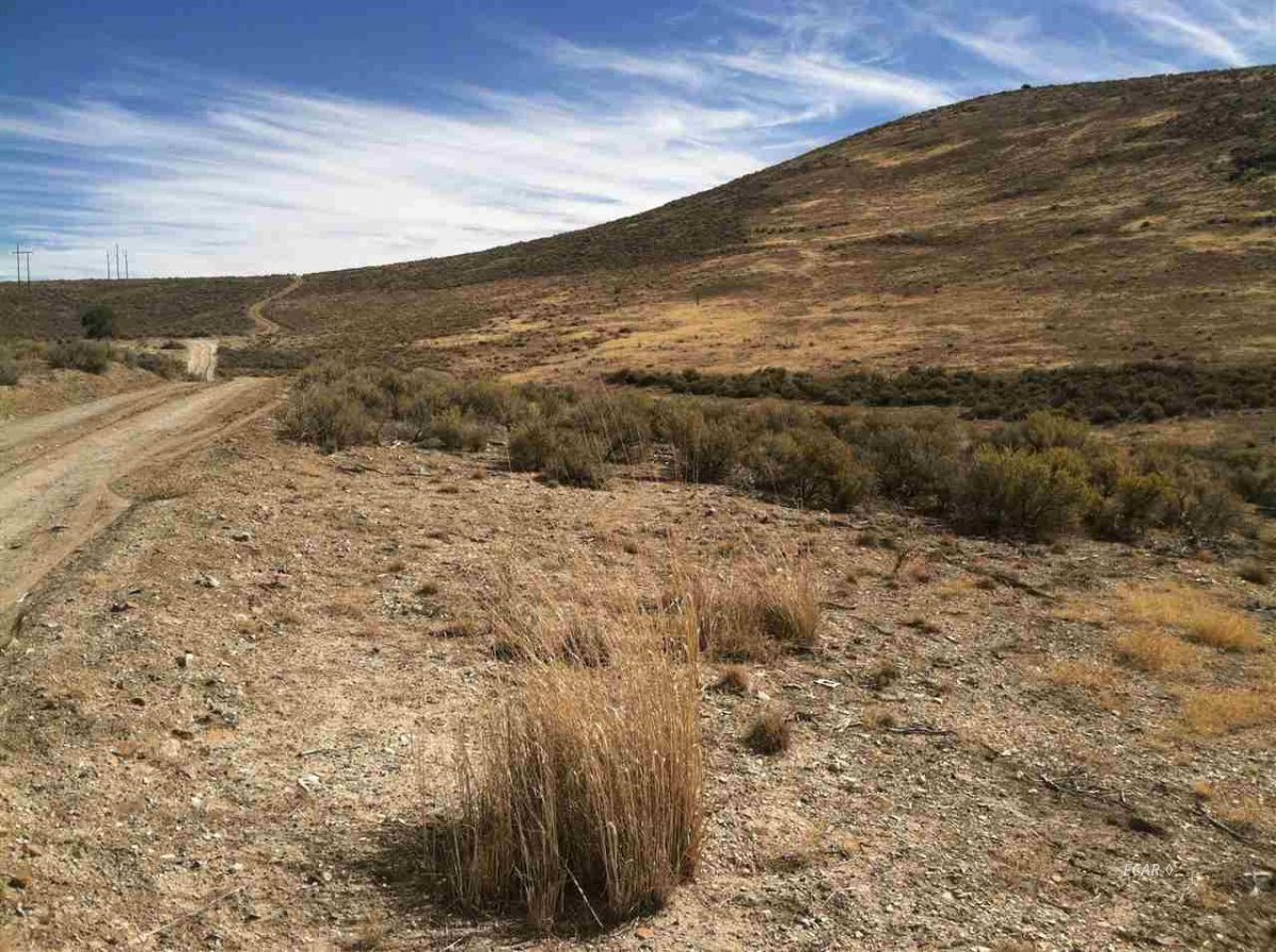 Imlay Ave Spring Creek Spring Creek, NV 89815 - Photo 1 of 4