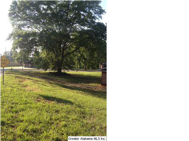 Millicent Street, Unit 7 Weaver, AL 36277 - Photo 17 of 20