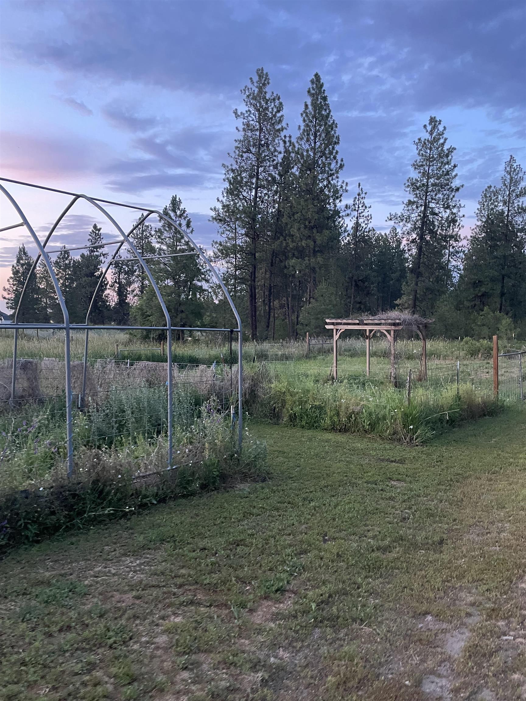 7413 South Thomas Mallen Road Cheney, WA 99004 - Photo 35 of 50