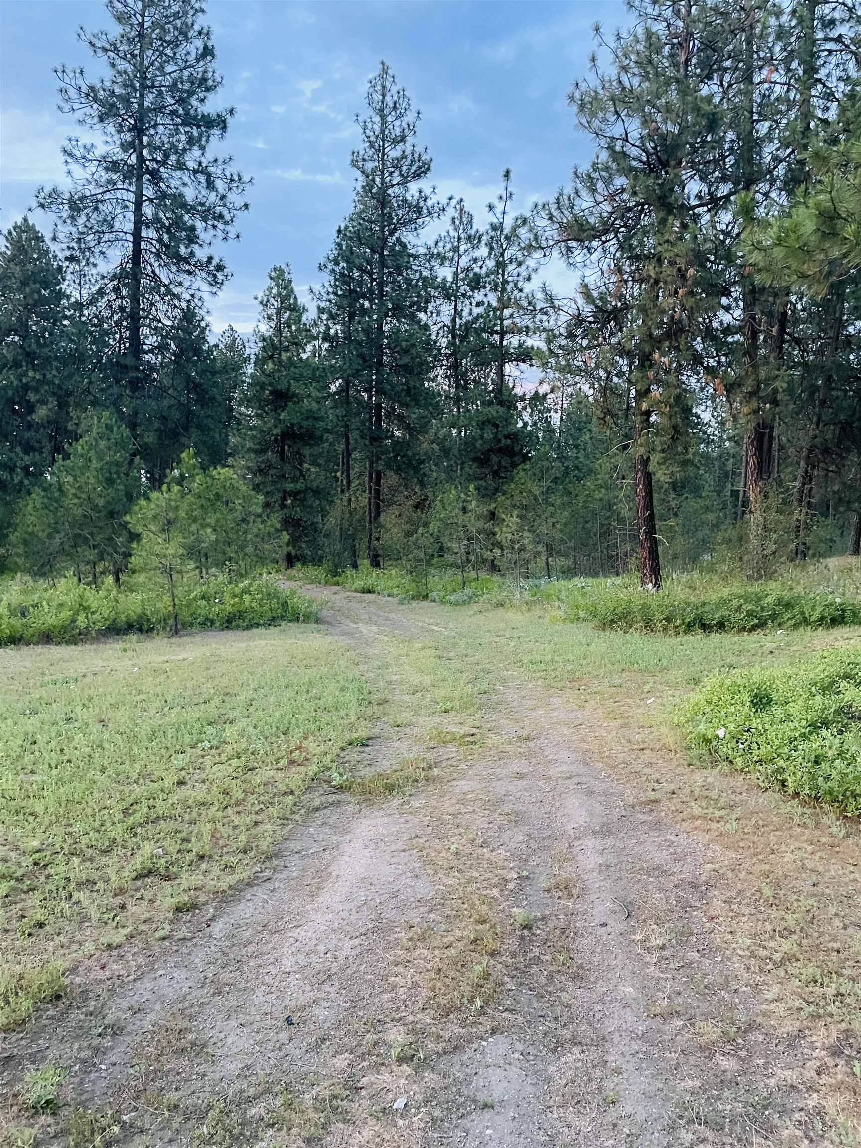 7413 South Thomas Mallen Road Cheney, WA 99004 - Photo 47 of 50