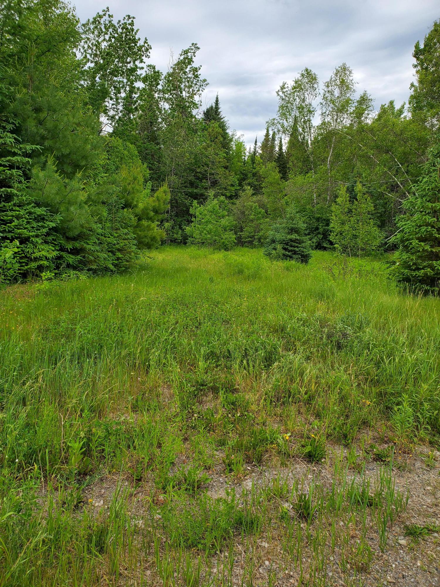 2291 Bancroft Road Wytopitlock, ME 04497 - Photo 12 of 14 20210614_151346