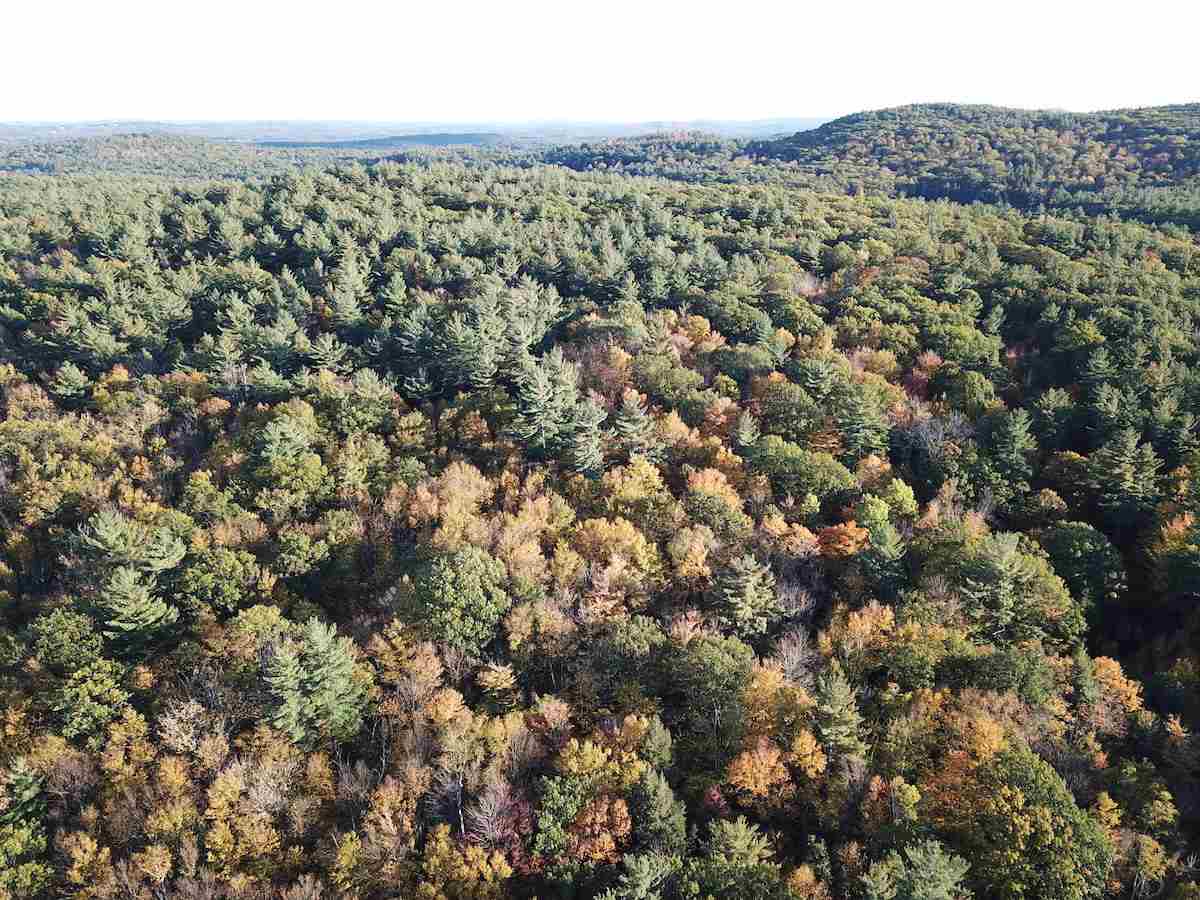 0 East Joppa Road Warner, NH 03278 - Photo 1 of 4