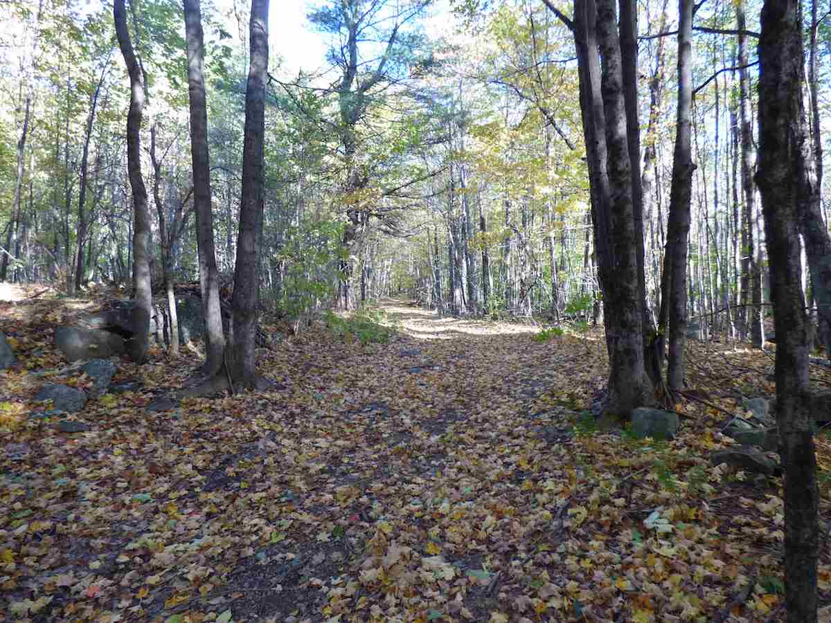 0 East Joppa Road Warner, NH 03278 - Photo 3 of 4