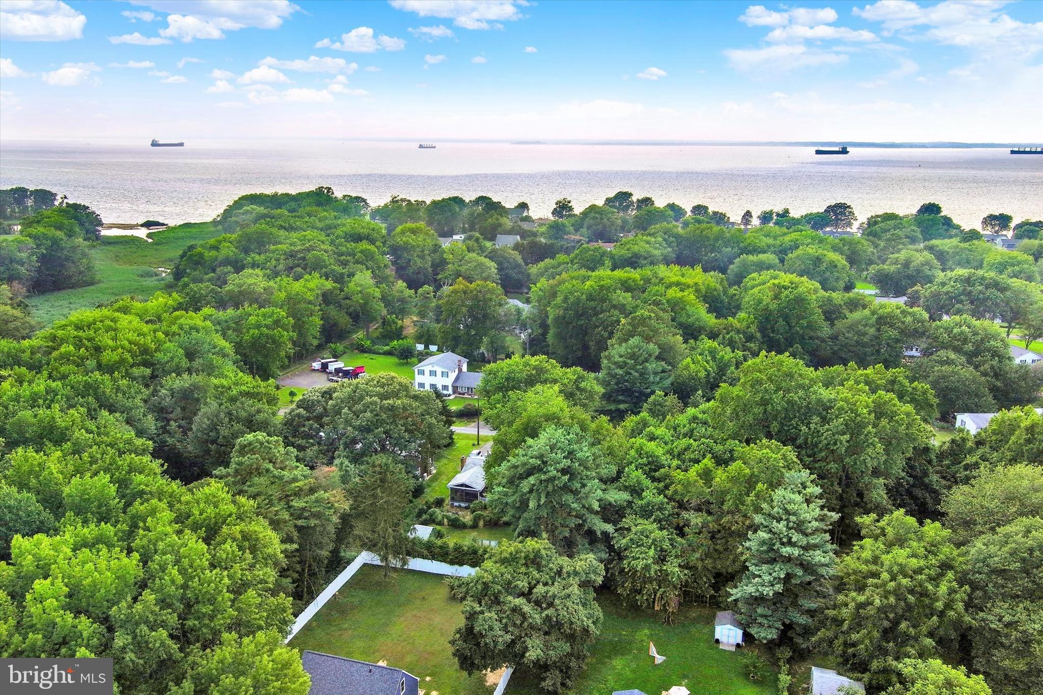 102 Maple Road Stevensville, MD 21666 - Photo 31 of 43 a view of a bunch of plants and trees