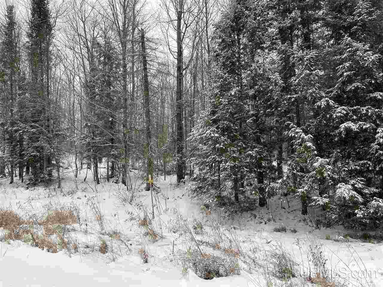 Tbd Vanderhagen Road Ironwood, MI 49938 - Photo 1 of 8