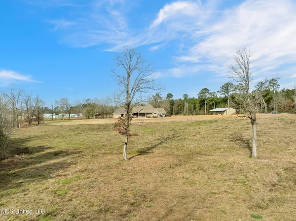 $610,000 | 135 472nd Highway, Pinola, MS 39149