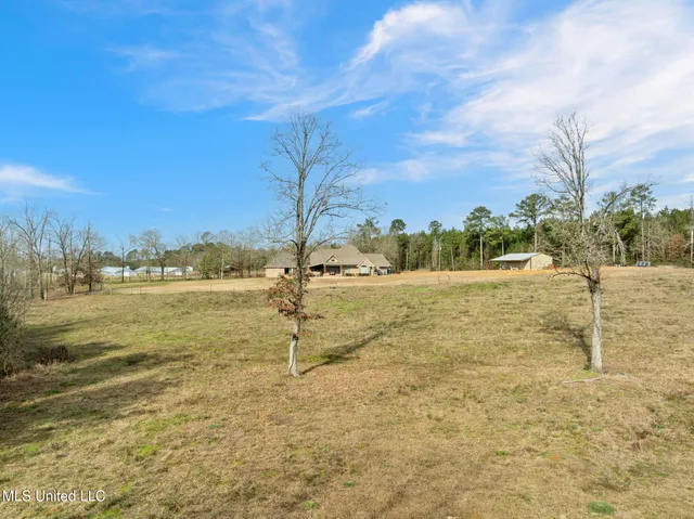 $610,000 | 135 472nd Highway, Pinola, MS 39149