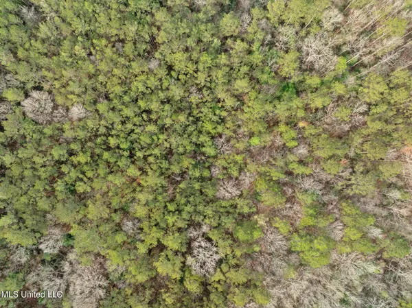 $610,000 | 135 472nd Highway, Pinola, MS 39149